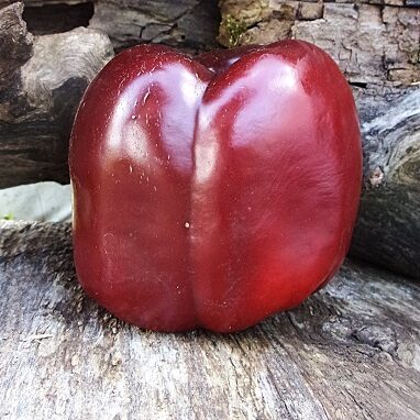 Шоколадный куб